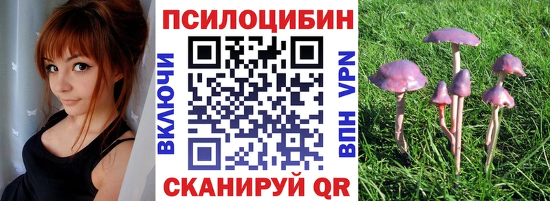 Купить  Межгорье  Галлюциногенные грибы ЛСД 
