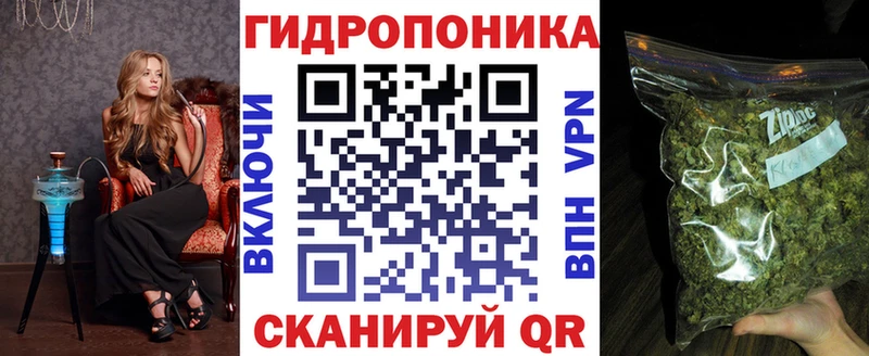 Конопля SATIVA & INDICA  Купить где  Межгорье 